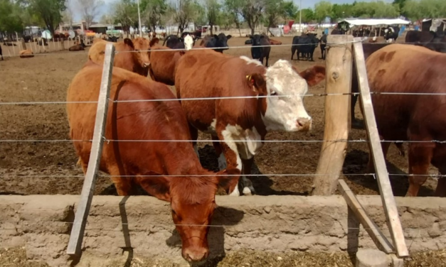 En 2023 los productores no pagarán tasas por trámites agropecuarios