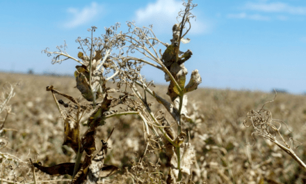 Sequía: el Gobierno invertirá $70.000 millones para asistir a productores
