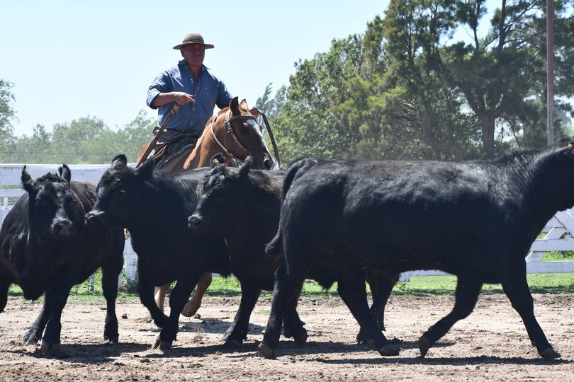 Río Cuarto: Comenzó la Expo de Otoño de la Sociedad Rural