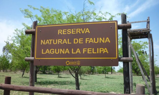 Ucacha: Comenzó el plan de gestión de la Reserva Natural de fauna laguna La Felipa