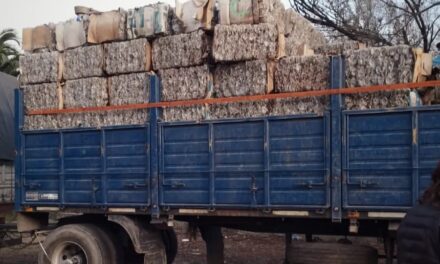 Coronel Moldes: se trasladaron 5 mil kgs de material reciclable al centro de acopio municipal
