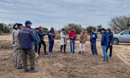 Villa María: realizan tareas de desmalezado y reacondicionamiento en el proyecto ecobarrio