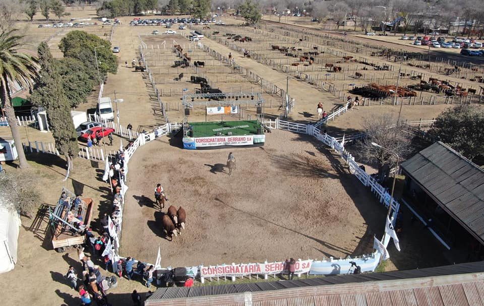 Laboulaye: se realizó una peña ovina de cara a la próxima Expo Rural