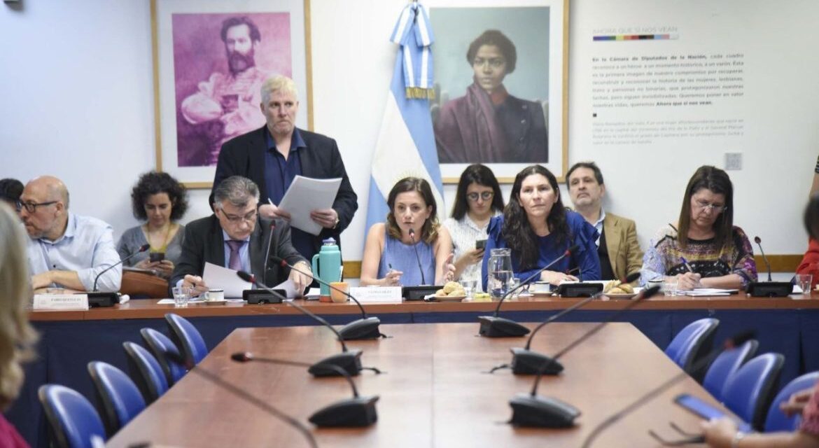 Se realizará la segunda reunión sobre licencias parentales en Diputados