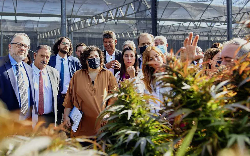 El Gobierno reglamentó la ley para el desarrollo local de cannabis medicinal