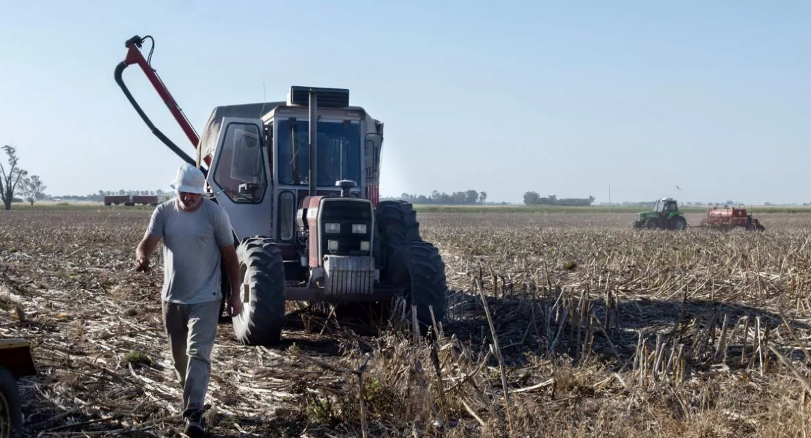 Extienden hasta fines de febrero la emergencia agropecuaria en Córdoba