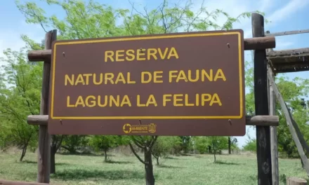 Ucacha: Avanza el Plan de Gestión para la Reserva Natural y de Fauna “Laguna La Felipa”