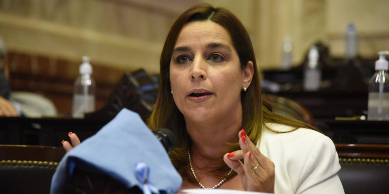 Soledad Carrizo realizó un repaso por su actividad legislativa durante el 2023