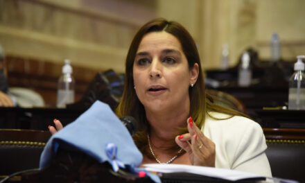 Soledad Carrizo realizó un repaso por su actividad legislativa durante el 2023