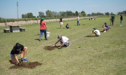 Vicuña Mackenna: se realizó una Jornada de reforestación