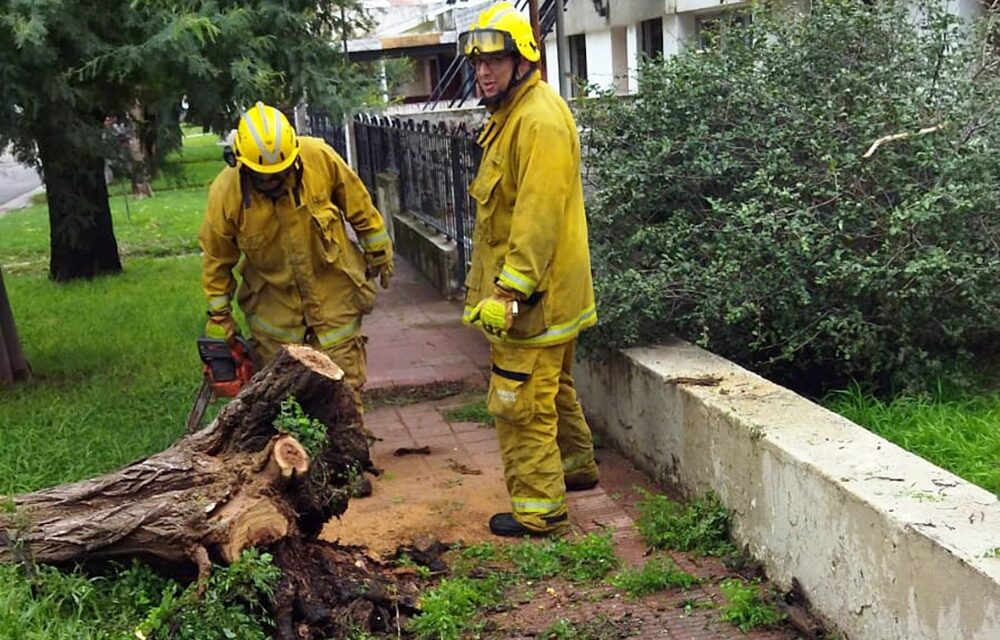 Río Cuarto: tras el temporal asistieron a las familias con viviendas inundadas