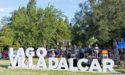 Miles de vecinos participaron del Segundo Festival Solidario en Villa Dalcar