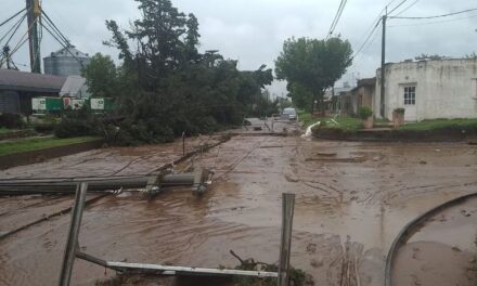 Adelia María: Daños materiales y cortes de energía eléctrica tras el paso de la tormenta 