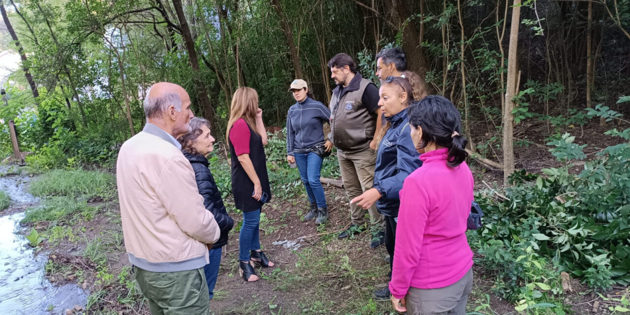Carlos Paz: comenzaron los trabajos en la Reserva Ecológica de Altos de las Vertientes