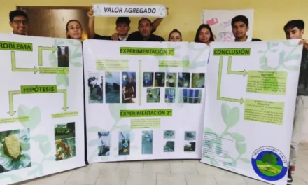 Pincén: un proyecto escolar fue calificado como innovador por el Ministerio de Educación de Córdoba