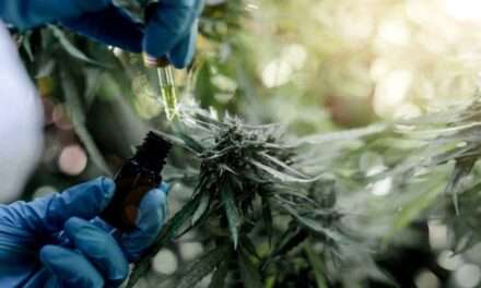 UNRC: Desarrollarán investigaciones científicas conjuntas sobre el cannabis medicinal