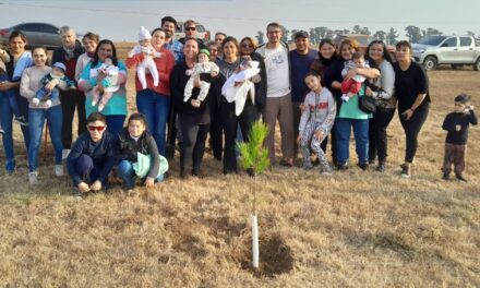 Charras: comenzó el programa de forestación “Una nueva vida, un árbol”