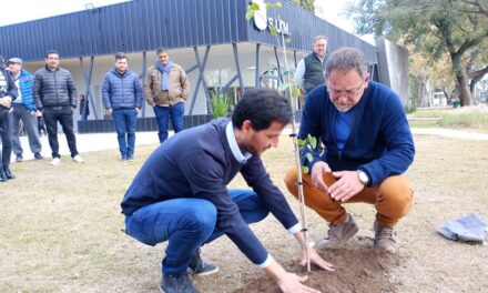 Villa Nueva: El Municipio recibió donaciones de árboles para su campaña “Más Oxígeno”