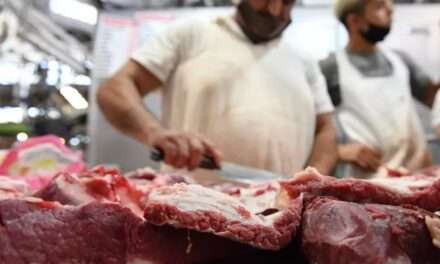 Cayó 16% el consumo de carne en los primeros cinco meses de 2024