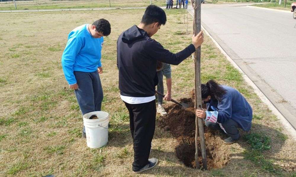 Plantación de árboles en Monte de los Gauchos