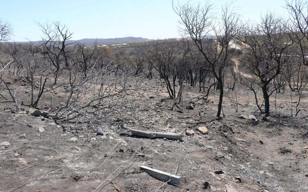 La Provincia declaró el desastre agropecuario por incendios