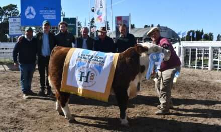 La Cabaña Macho Ruano se quedó con los grandes campeones de Hereford