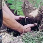 Huanchilla inició la campaña de forestación “Un árbol a la vez”