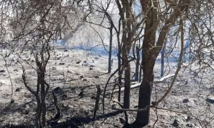 A un mes de los incendios, la Provincia ejecuta un plan de Remediación Ambiental por más de $15.600 millones