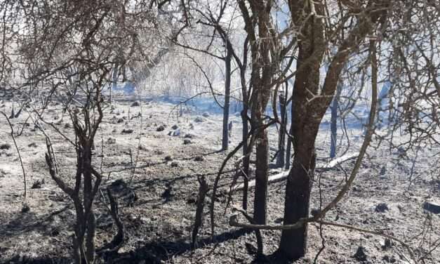 A un mes de los incendios, la Provincia ejecuta un plan de Remediación Ambiental por más de $15.600 millones