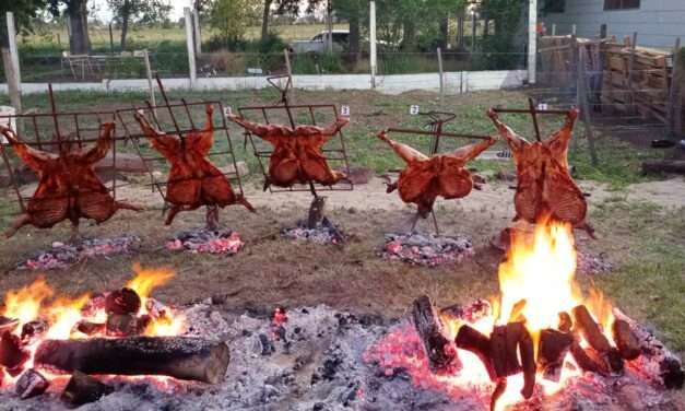 Vicuña Mackenna: se realizó con éxito la primera degustación de carne ovina