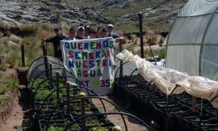 Canals: Alumnos del IPET plantaron tabaquillos al pie del Cerro Champaquí