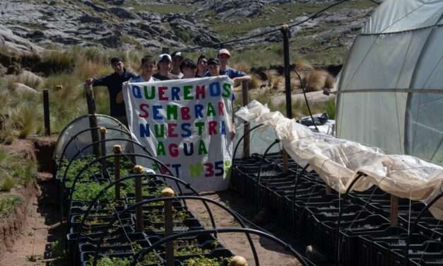 Canals: Alumnos del IPET plantaron tabaquillos al pie del Cerro Champaquí