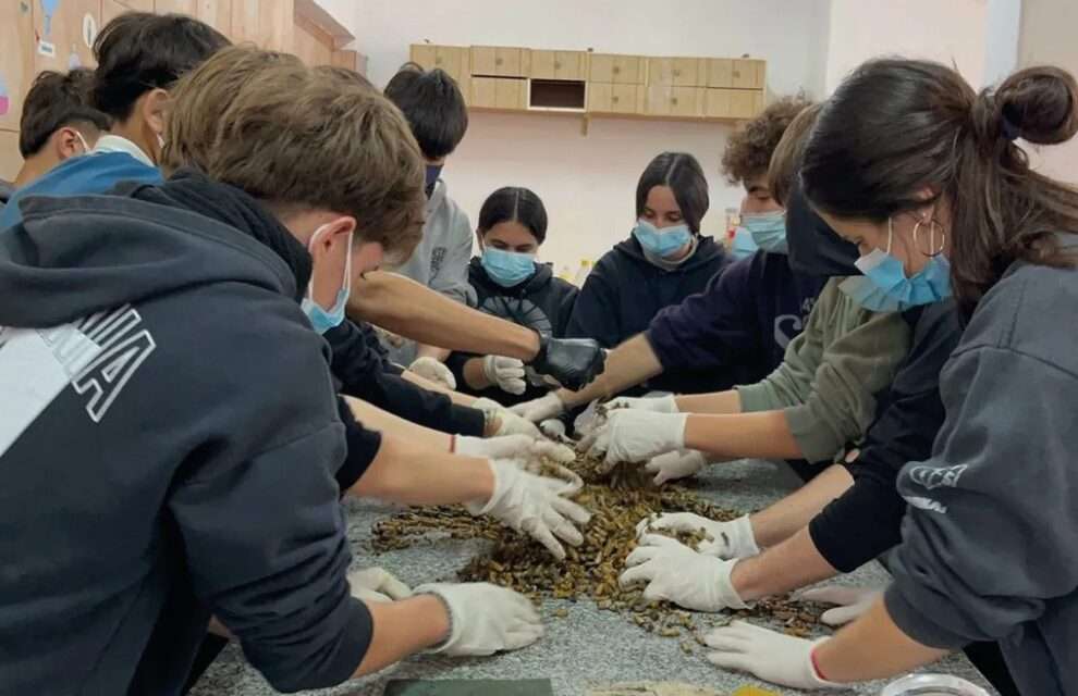 La Carlota: estudiantes transforman colillas de cigarrillos en agendas y logran reconocimiento internacional