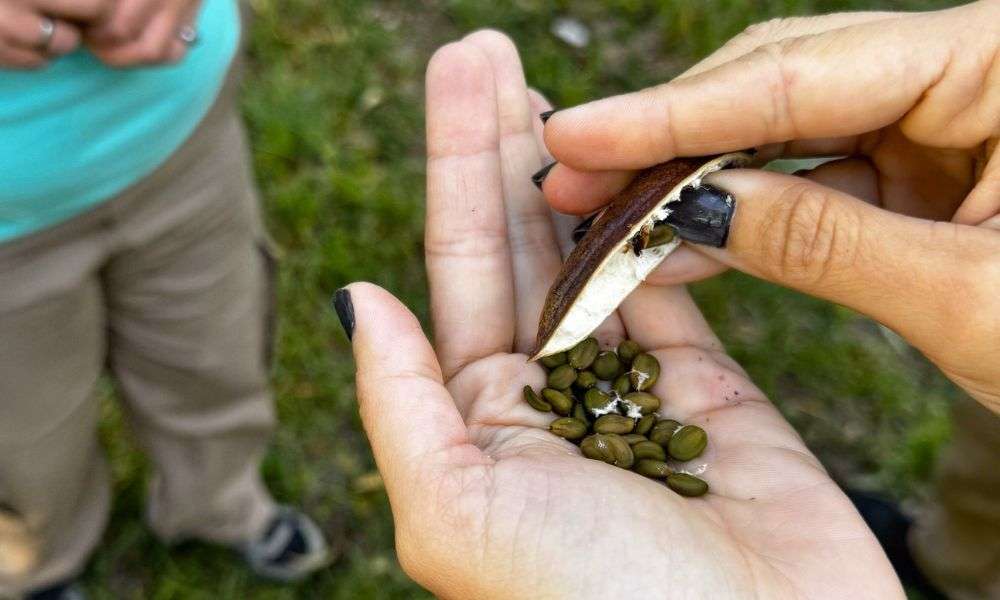 Villa Huidobro realizó una jornada para impulsar el cuidado de la flora y fauna nativa