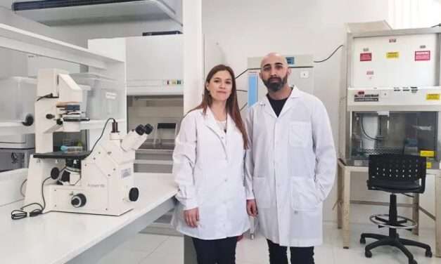 Científicos de la UNC y la UNRC comprobaron que un extracto de piel de maní inhibe el virus del dengue