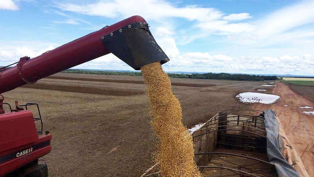 Ante la suba de costos y bajos precios internacionales, productores vuelven a reclamar por quita de retenciones