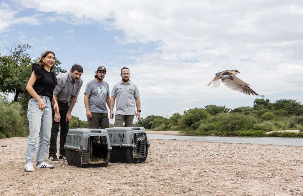 Casi 50 ejemplares de fauna silvestres regresaron a la naturaleza