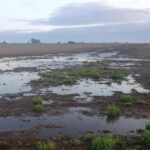 Se esperan excesos de lluvias sobre el centro de la región agrícola