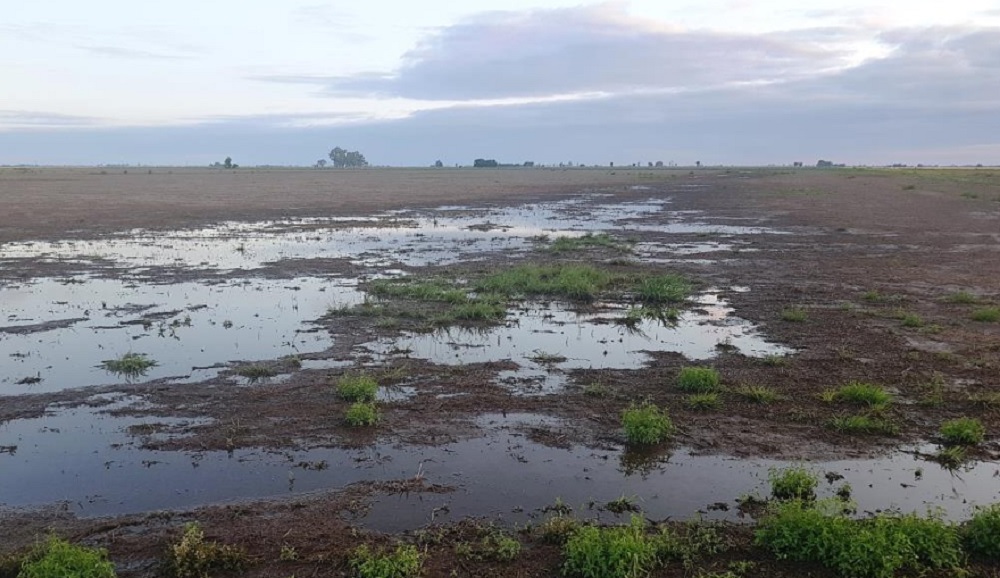 Se esperan excesos de lluvias sobre el centro de la región agrícola