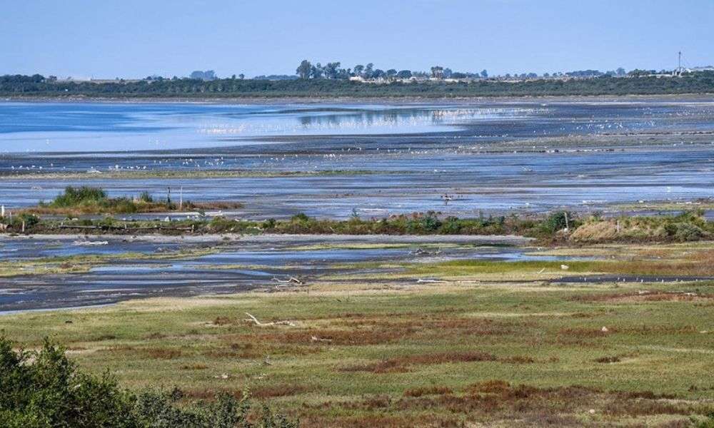 Ambiente realiza estudios de fauna nativa en Pulmones Verdes para fortalecer la conservación de la biodiversidad